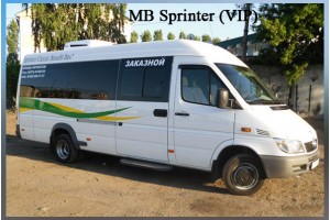 MB Sprinter (VIP)